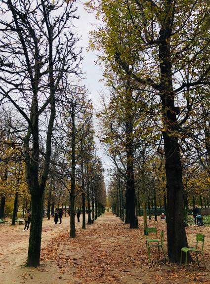 Our favourite parks and green spaces for an autumn walk
